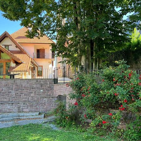 Casa Rural Roncesvalles Эспиналь-Аусперри Экстерьер фото